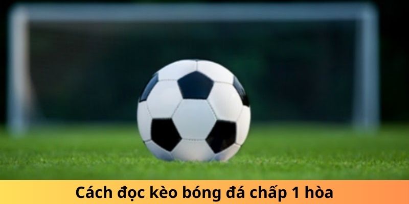 Cách đọc kèo bóng đá chấp 1 hòa