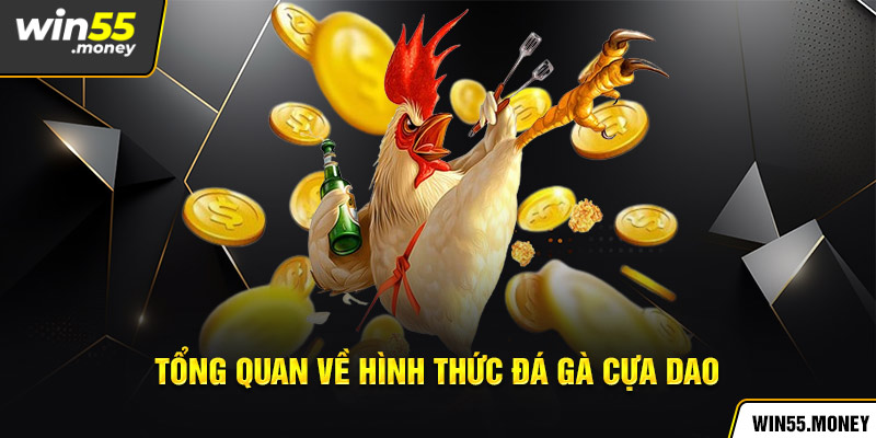 Tổng quan về hình thức đá gà hấp dẫn mọi thời đại